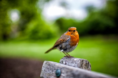 3Z4T2789_ed01_resize