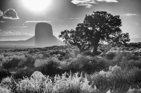 3Z4T5782_ed01_resize