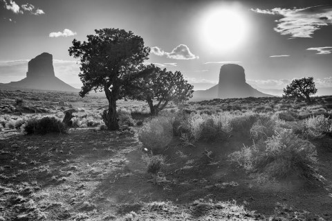 3Z4T5785_ed01_resize